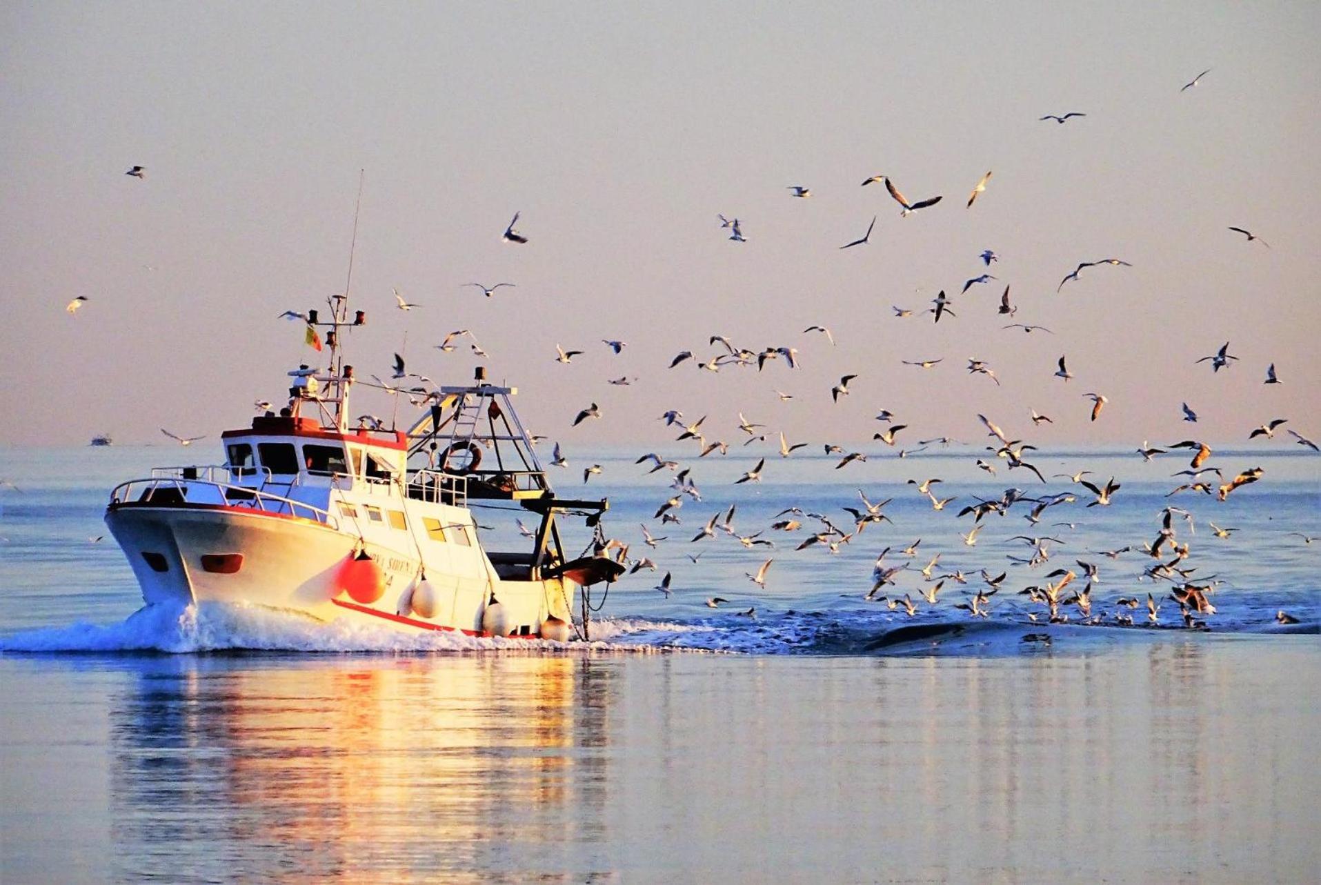 La Casa Del Pescatore N 33 - Porto Di St Spirito Bari Eksteriør billede